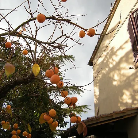 Alojamento de Turismo Rural Il Colle Siena