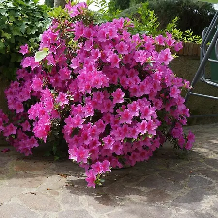 Il Colle Alloggio per agriturismo Siena