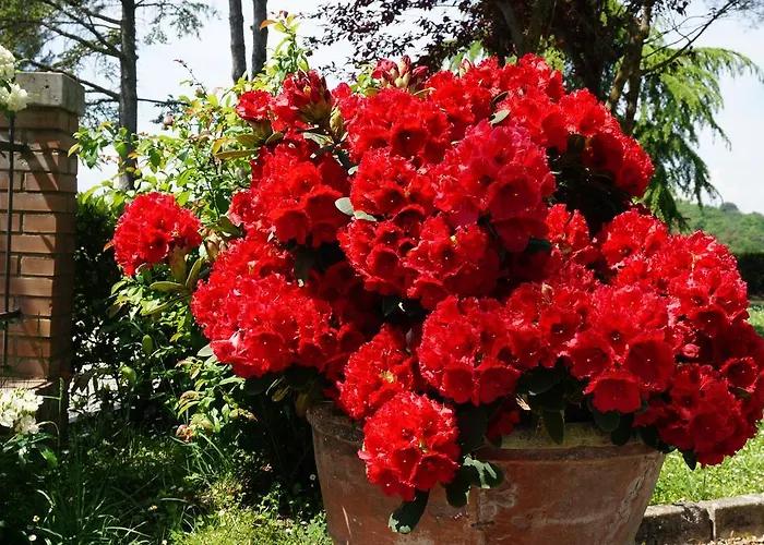 Il Colle 팜스테이 시에나